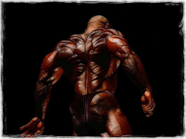 Лучшие упражнения для мышц спины