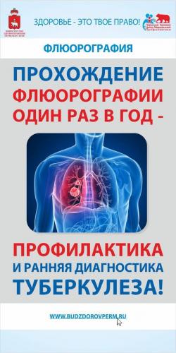 Эффективное лечение туберкулёза лёгких: какой способ выбрать, самое лучшее средство устранения инфекции, эффективность терапии