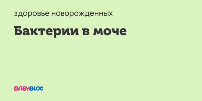 Нашли бактерии моче( - запись пользователя //tanyam// (hochy_baby) в сообществе здоровье будущей мамы и малыша в категории анализы, инфекции - babyblog.ru
