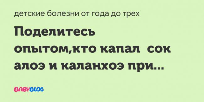 Сок каланхоэ - сок каланхоэ аптечный при насморке - запись пользователя марина (marinaka83) в сообществе детские болезни от года до трех в категории насморк - babyblog.ru