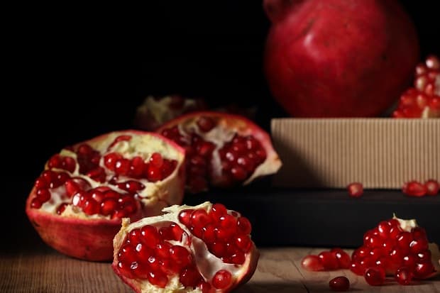 Собачий жир лечебные свойства и применение