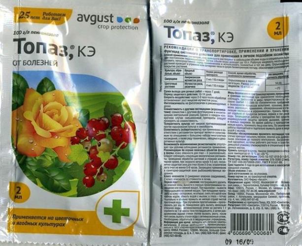 Топаз — фунгицид для винограда