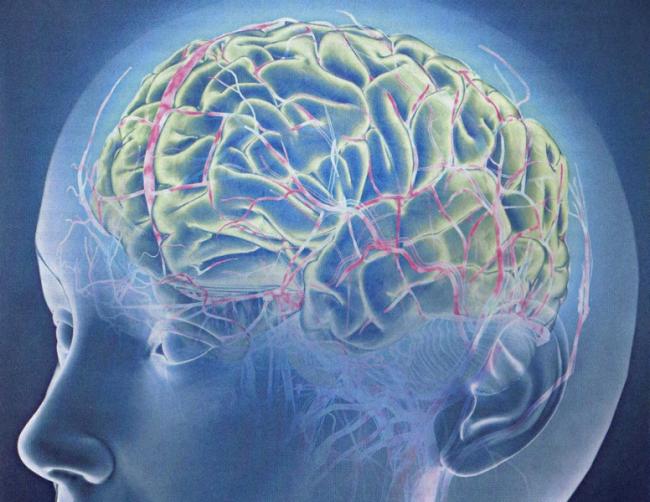 Для чего назначают корилип при беременности