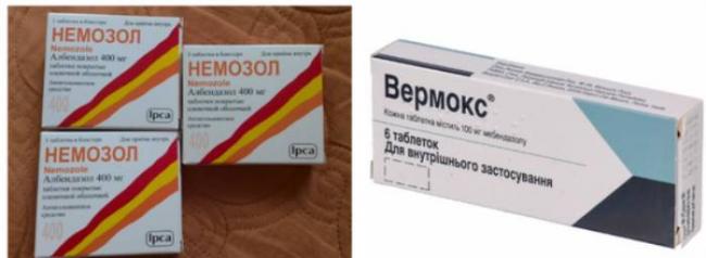 Немозол дозировка для детей 3 лет. «немозол»: инструкция по применению суспензии и таблеток для детей с расчетом дозировки