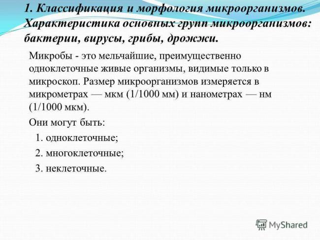 Как молочнокислые бактерии способны влиять на здоровье человека