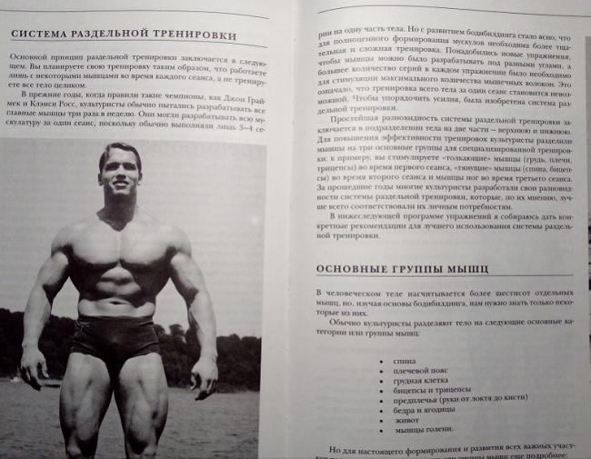 Питание для начинающего бодибилдера