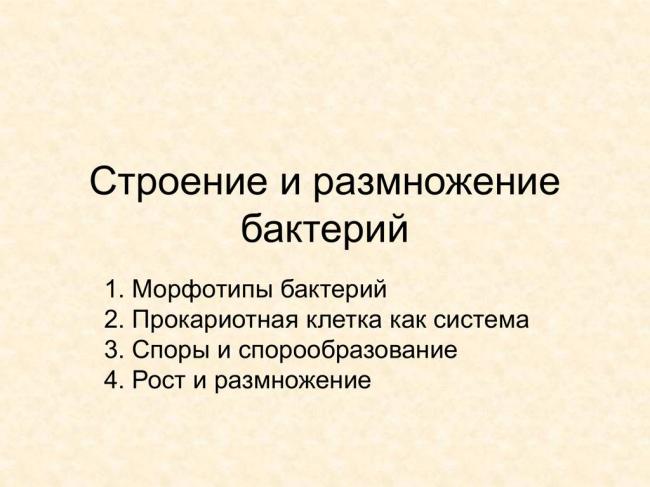 Рост и размножение бактерий — студопедия