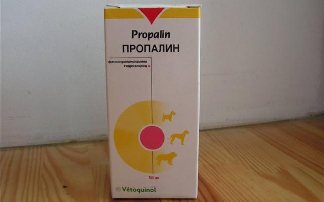 Подробная инструкция по применению пропалина для собак, а также отзывы о нем