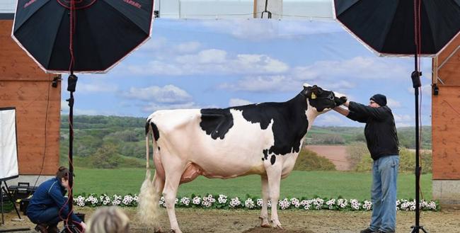 Суперфуд для младенцев: удивительные факты о грудном молоке, открытые учеными