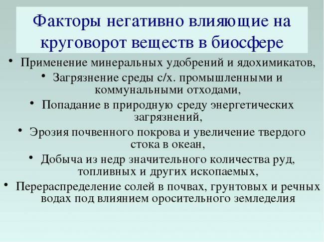 В чем заключаются особенности, строение и размножение бактерий