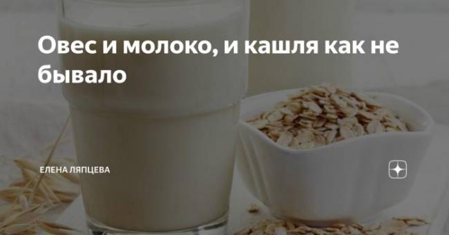 Отвар овса на молоке лечебные свойства и противопоказания