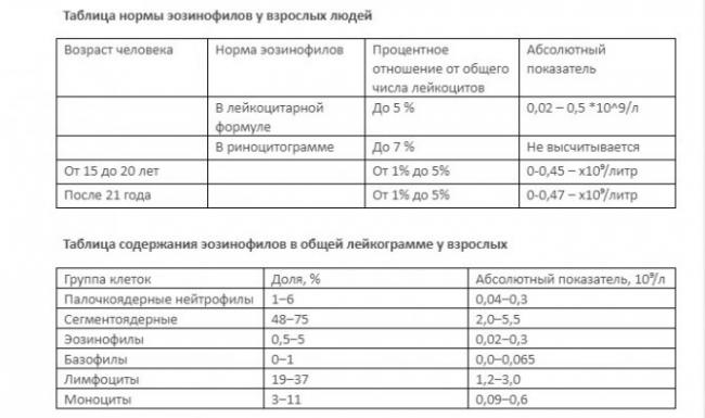 Эозинофилы повышены у взрослого — о чем это говорит, норма в крови, причины повышения