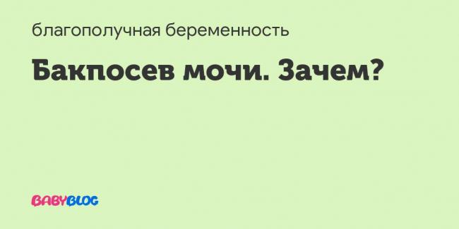Анализ мочи на бактерии