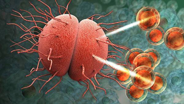 Как наука борется с бактериями, устойчивыми к антибиотикам