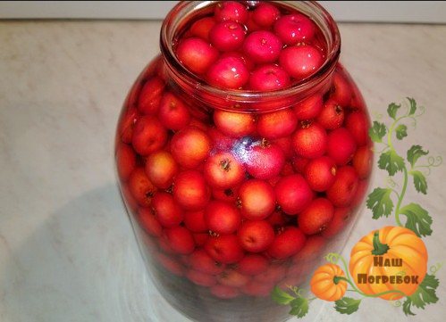 Капли ландыша инструкция по применению. инструкция по применению настойки ландыша