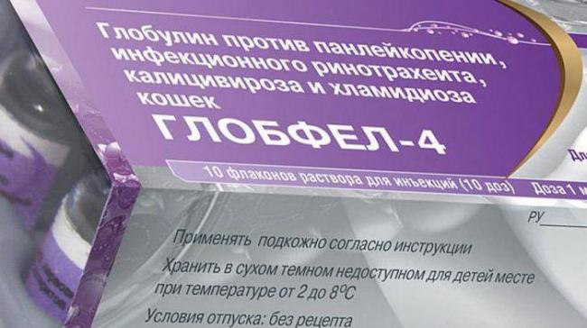 Глобфел-4 для кошек защита питомца от серьёзных инфекций