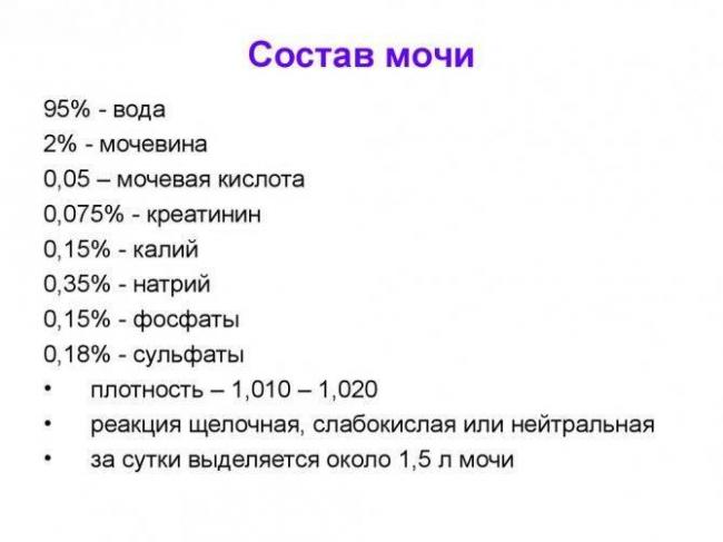 Бактерии в анализе мочи у ребенка — что это значит? факторы, которые способствуют возникновению бактериурии.