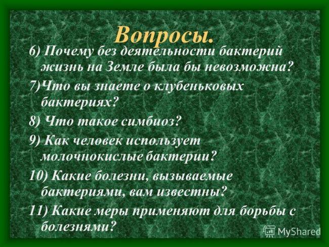 Урок биологии в 6 классе "распространение бактерий. значение бактерий в природе и жизни человека"