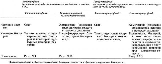 Бактерии паразиты: виды, примеры, места обитания