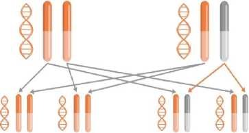 Ангионевротический отек: симптомы, лечение, причины, диагностика