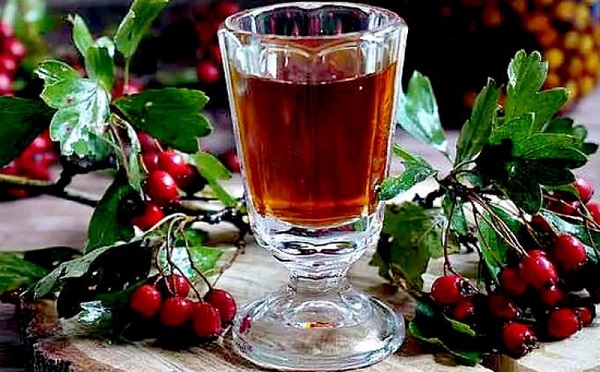 Инструкция по применению настойки ландыша