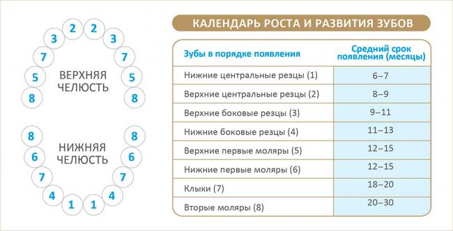 Режим кормления ребенка до года: количество приемов пищи и нормы еды по месяцам