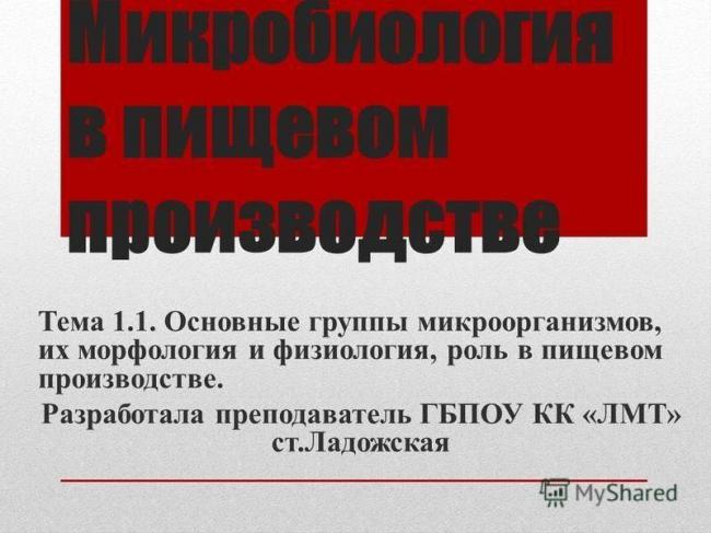 Принципы группирования молочнокислых бактерий-симбионтов человека