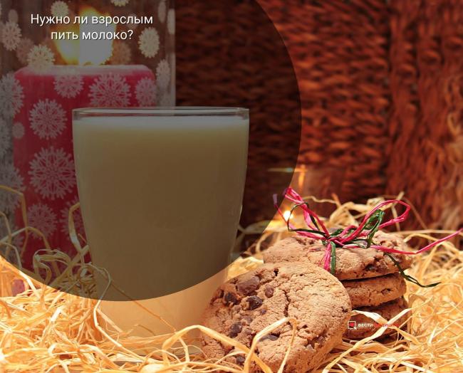 В чем польза бифидобактерий и их коллег – лактобактерий