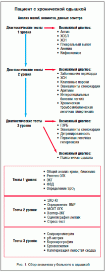Механизм развития, симптомы и лечение бронхиальной астмы физического усилия