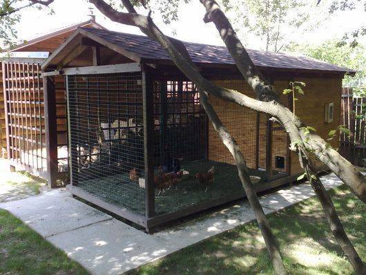 Альбен описание, характеристика и инструкция по применению препарата для кошек