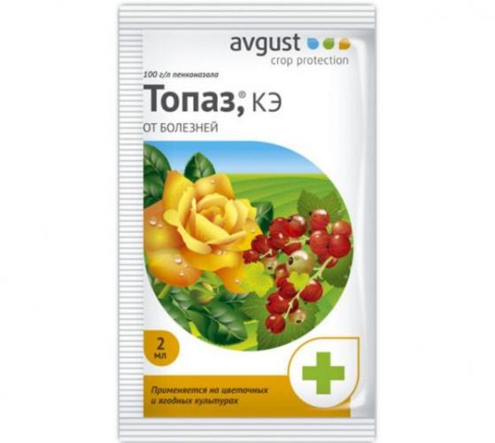 Фунгицид топаз – описание препарата и инструкция по применению