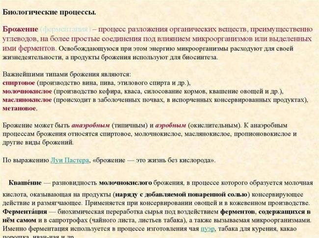 Брожение – энергия для бактерий, польза для человека