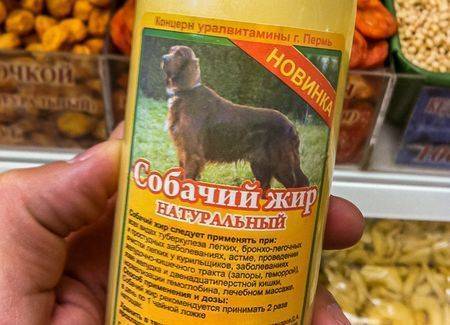 Собачий жир при язве желудка