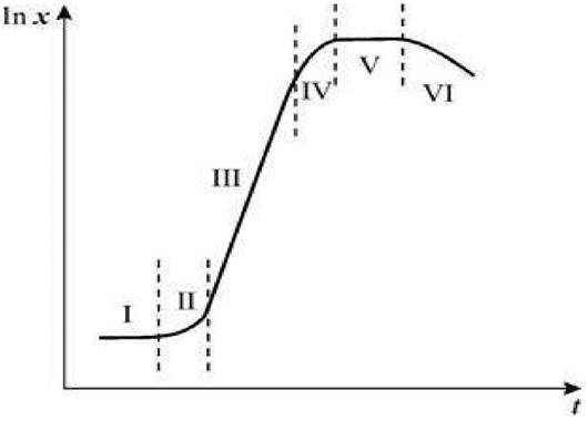 Опасная микрофлора рядом: множество способов размножения патогенных микроорганизмов