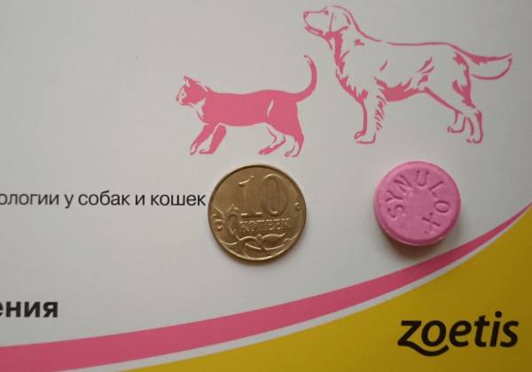 Синулокс инструкция по применению для собак