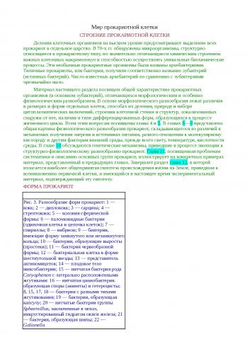 Цитоплазма: химический состав, строение и основные функции