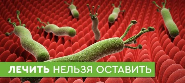 Бактерия хеликобактер пилори в желудке: причины появления