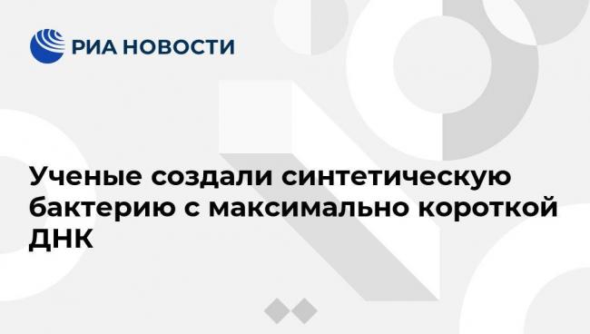 Бактерия синтия — интервики