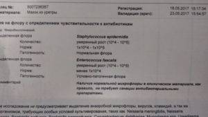 Небольшое кол-во бактерий в моче