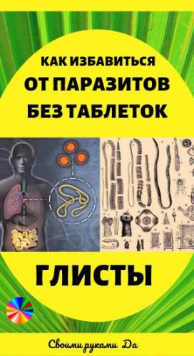 Народные средства от паразитов – рецепты и лечение