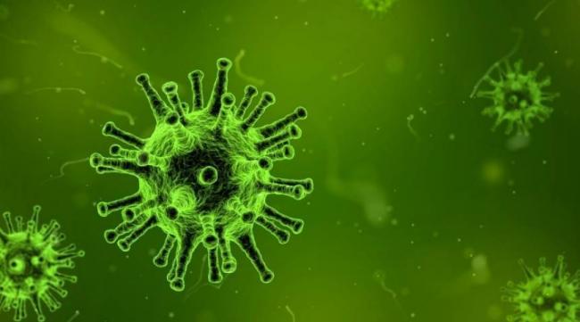 Чем отличается пневмония от воспаления легких