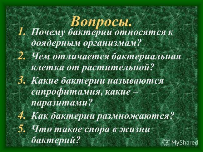 Урок биологии в 6 классе "распространение бактерий. значение бактерий в природе и жизни человека"