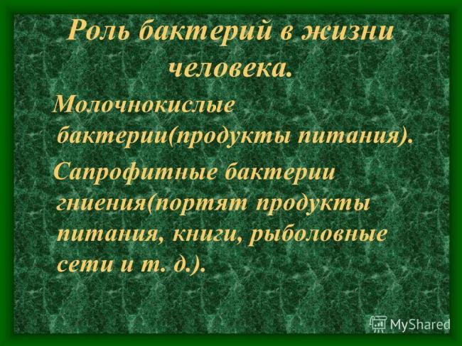 Урок биологии в 6 классе "распространение бактерий. значение бактерий в природе и жизни человека"
