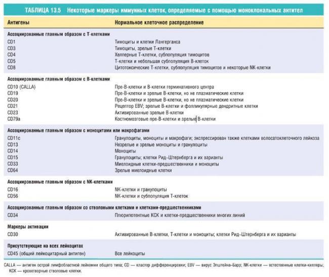 Какого цвета бактерии?