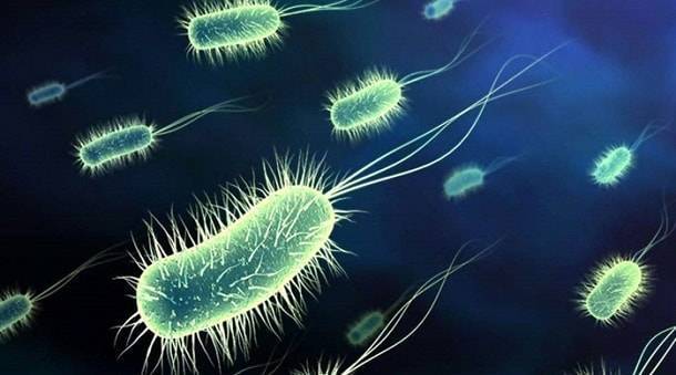 Нашли бактерии моче( - запись пользователя //tanyam// (hochy_baby) в сообществе здоровье будущей мамы и малыша в категории анализы, инфекции - babyblog.ru