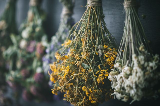 Схемы лечения хронического тонзиллита у взрослых