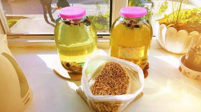 Овес лечебные свойства при кашле