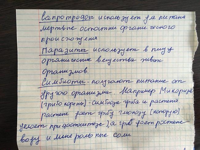 Бактерии паразиты — бактерии в организме человека, и их взаимодействие || что вызывают бактерии паразиты