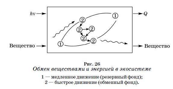 Водоросли фиксация азота