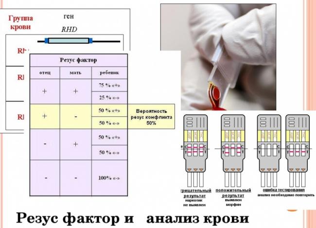 Диета по группе крови – плюсы и минусы, основные принципы диеты для 1, 2, 3, 4 групп крови